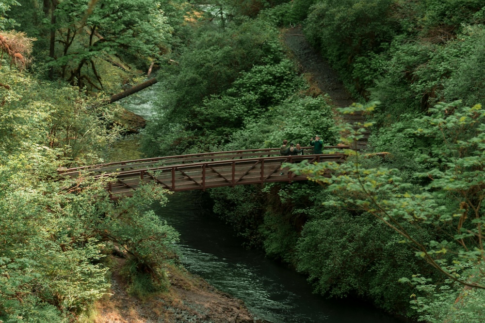 Bridge over river in a forest in Oregon