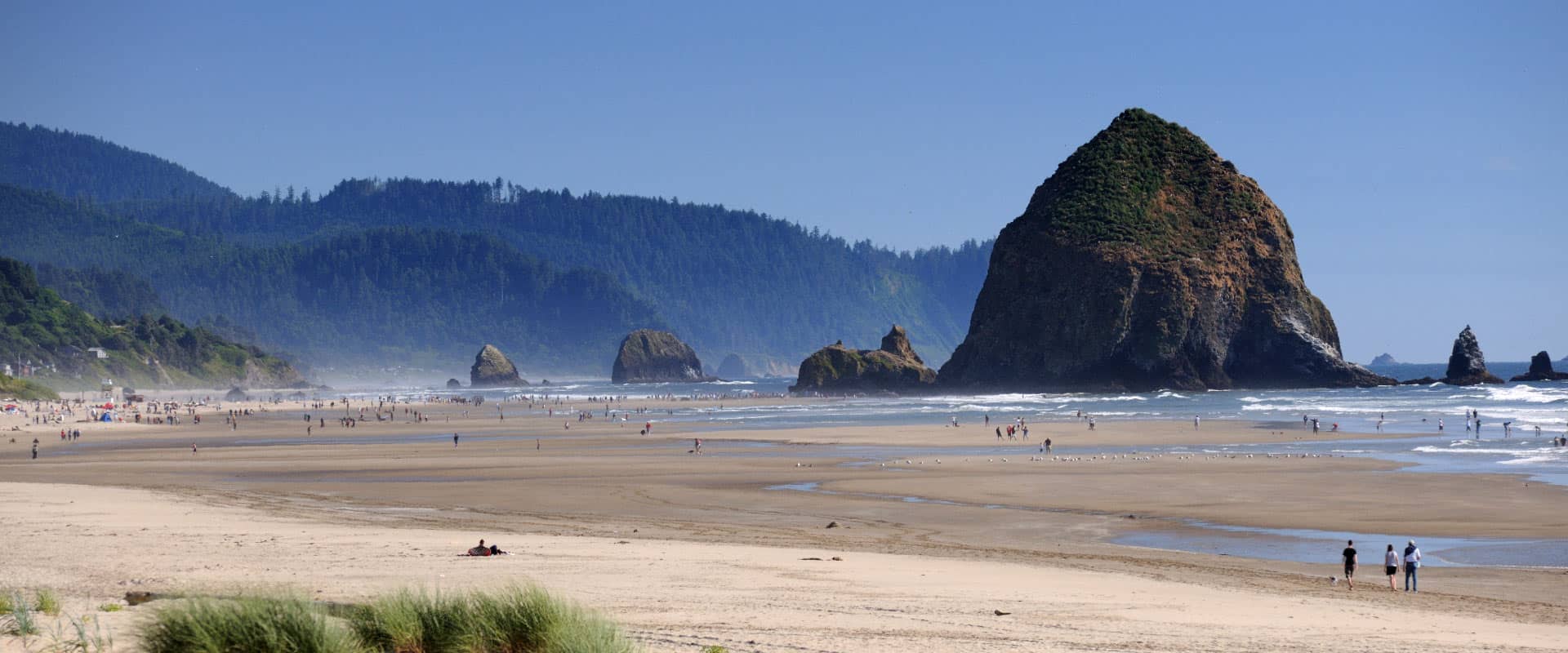 Cast Your Line Surf Fishing on the Oregon Coast < Tolovana Inn